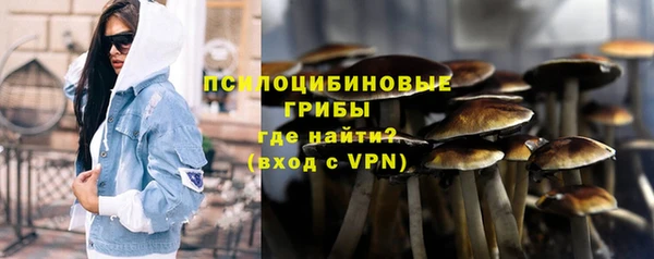 mdpv Заводоуковск