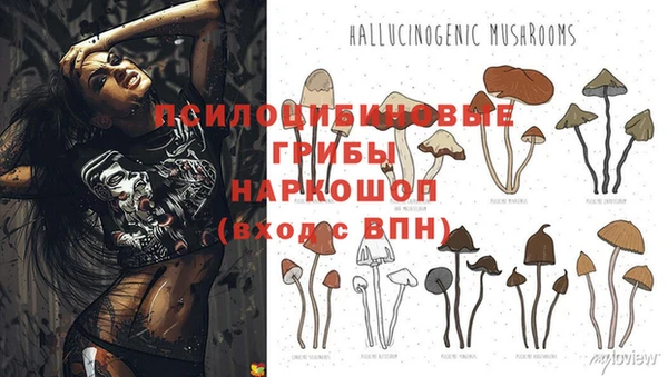 jwh Заволжск