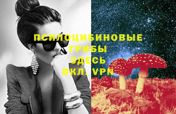 mdpv Заводоуковск