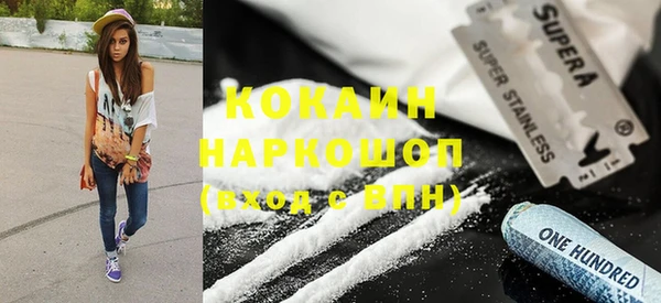 mdpv Заводоуковск