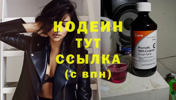 mdpv Заводоуковск