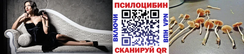 Купить где  Чаплыгин  Псилоцибиновые грибы мухоморы 